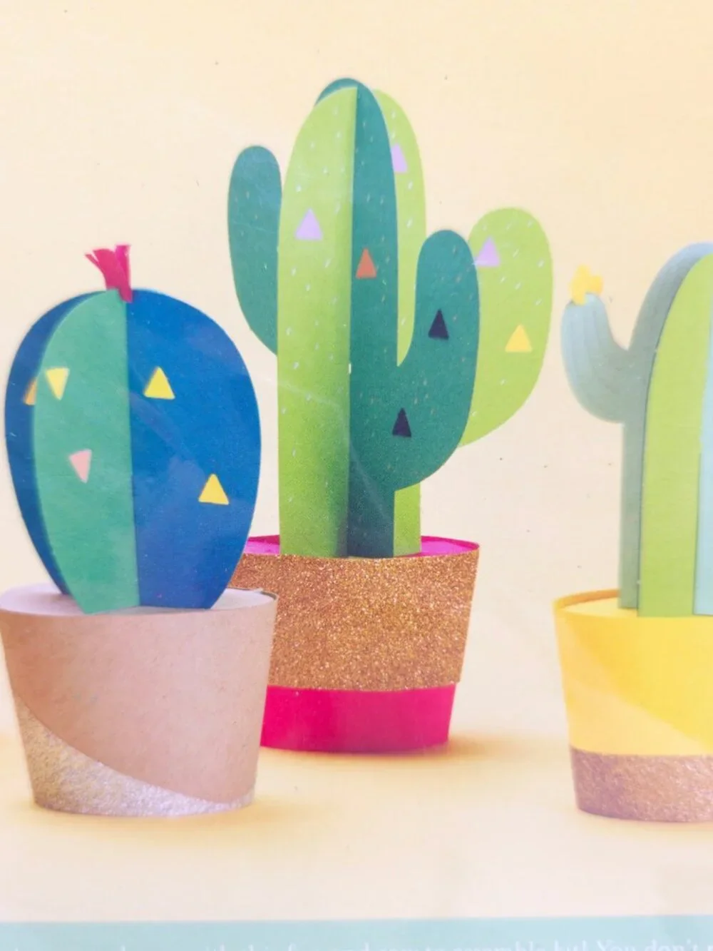 Paper Source Potted Cactus Decoration Kit